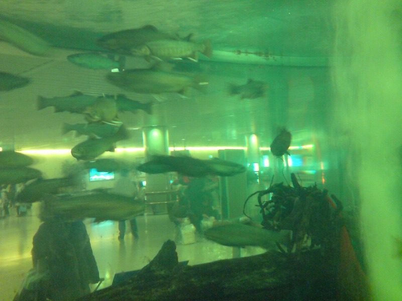 20081225193706.jpg